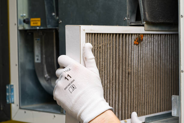 Best Ductwork Cleaning Services  in Nedrow, NY